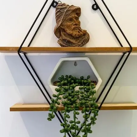 Maison Familiale La Belle Vie Jacuzzi/sauna Hébergement de vacances Saint-Gilles-Croix-de-Vie